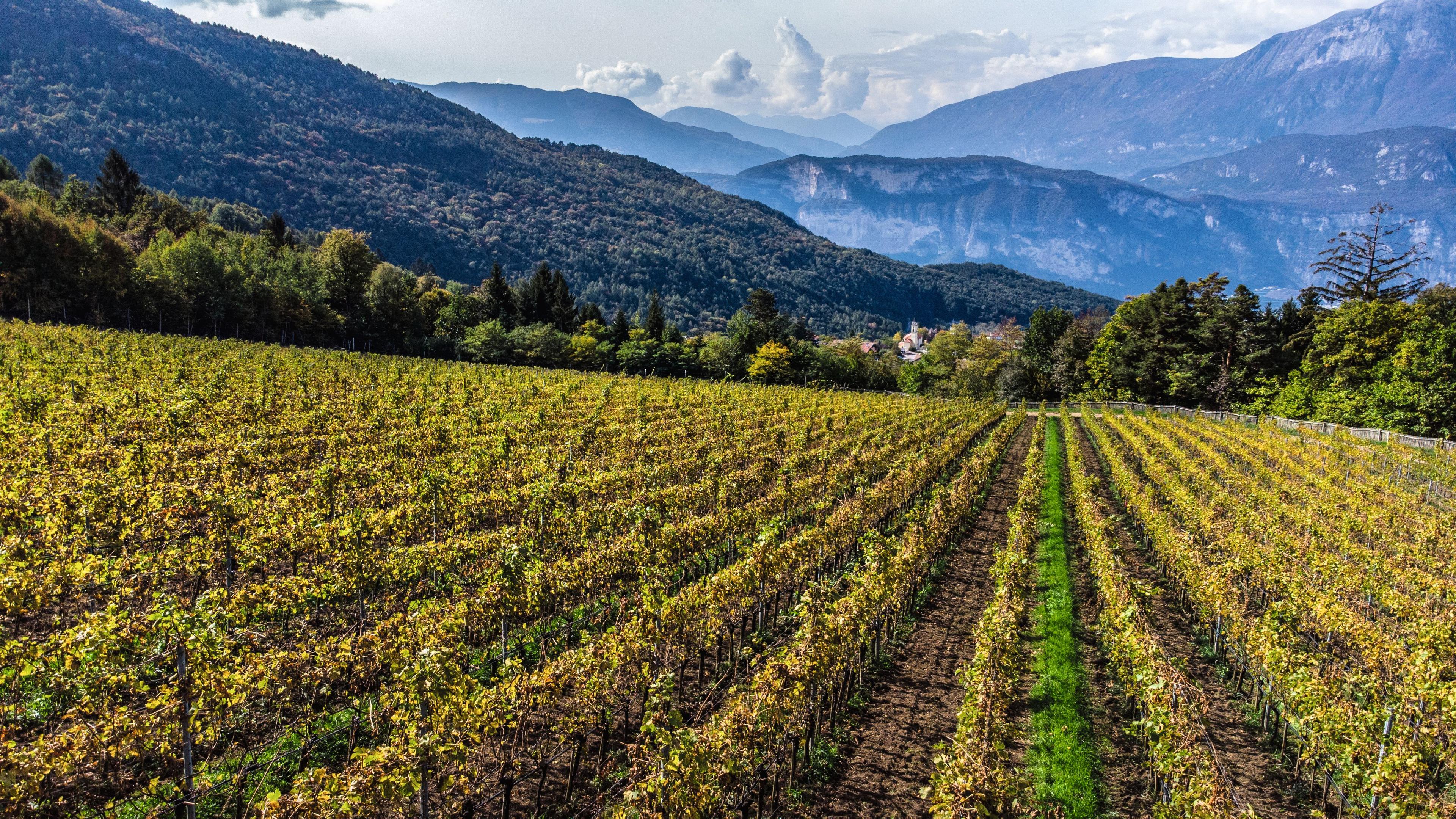 Maso Martis, Bollicine di montagna. Letizia Porcini