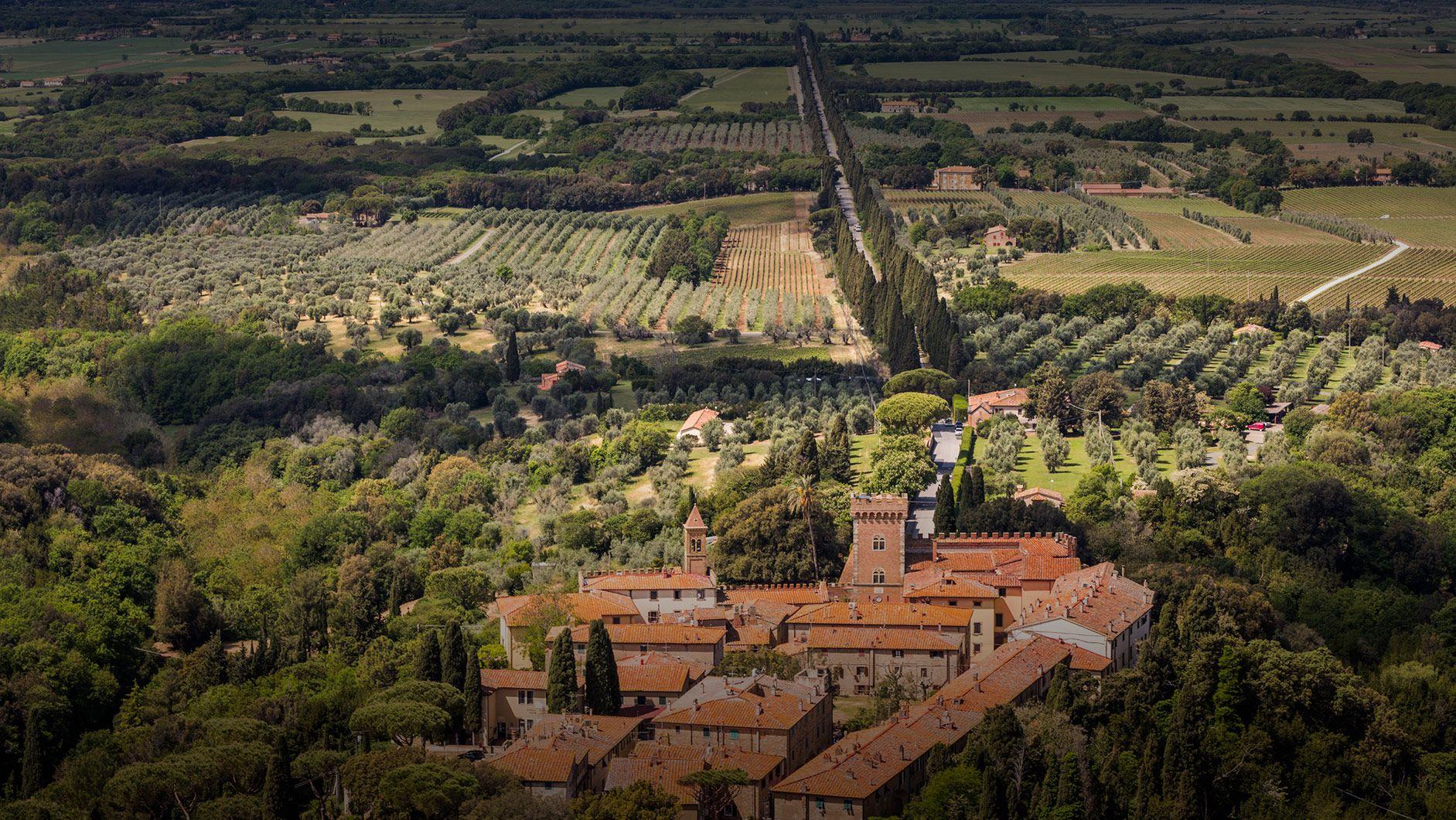 Bolgheri - Assaggi 2024