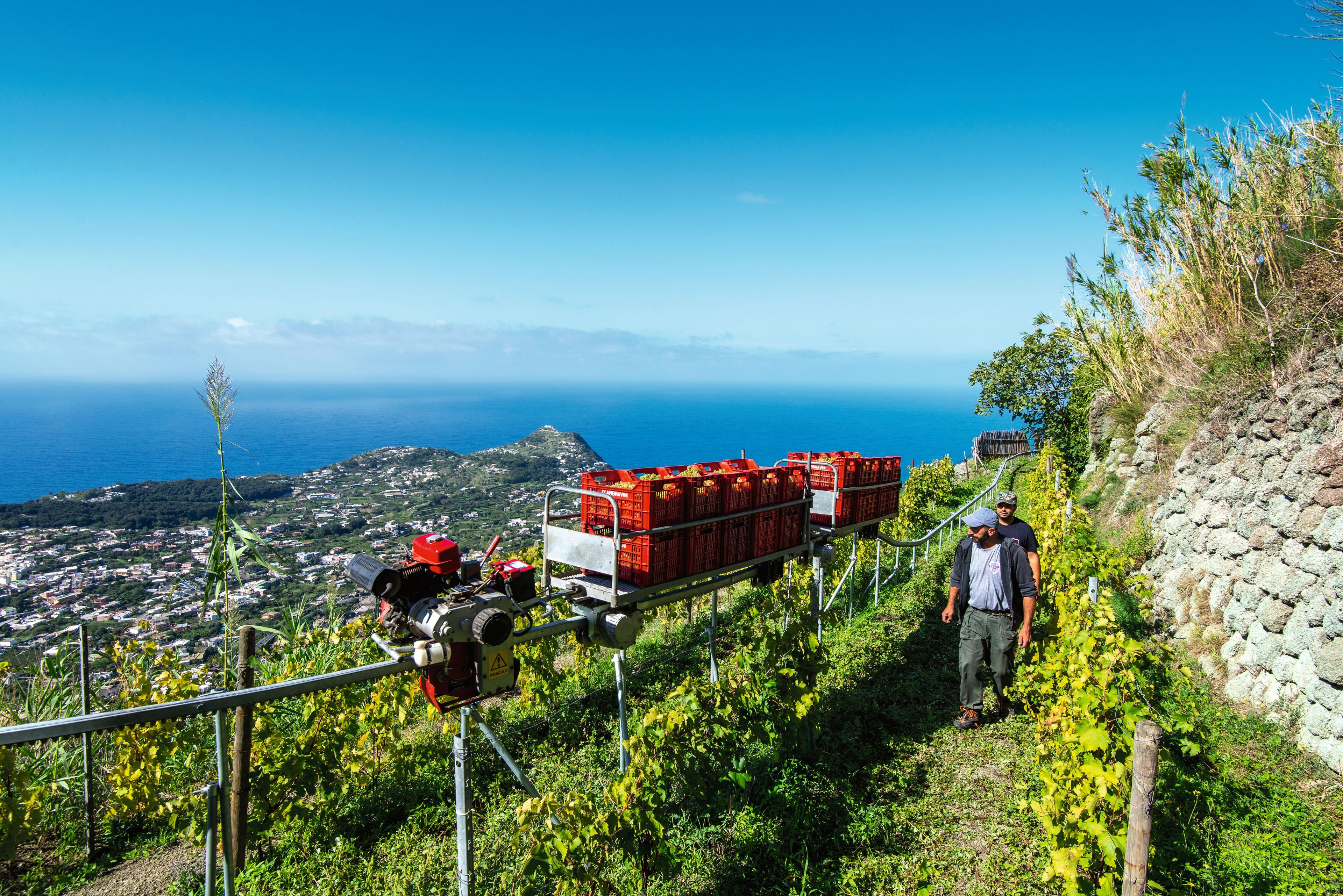 Casa d'Ambra, gli "angeli matti" di Ischia. Letizia Porcini