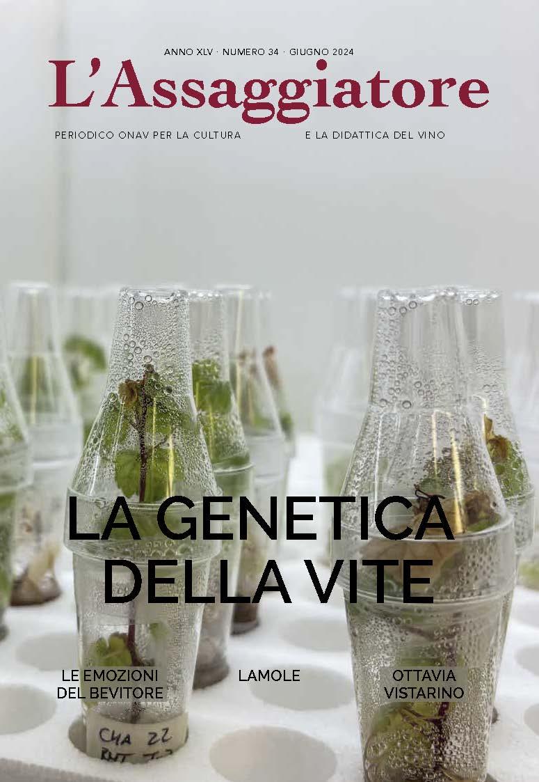 L'Assaggiatore N 34