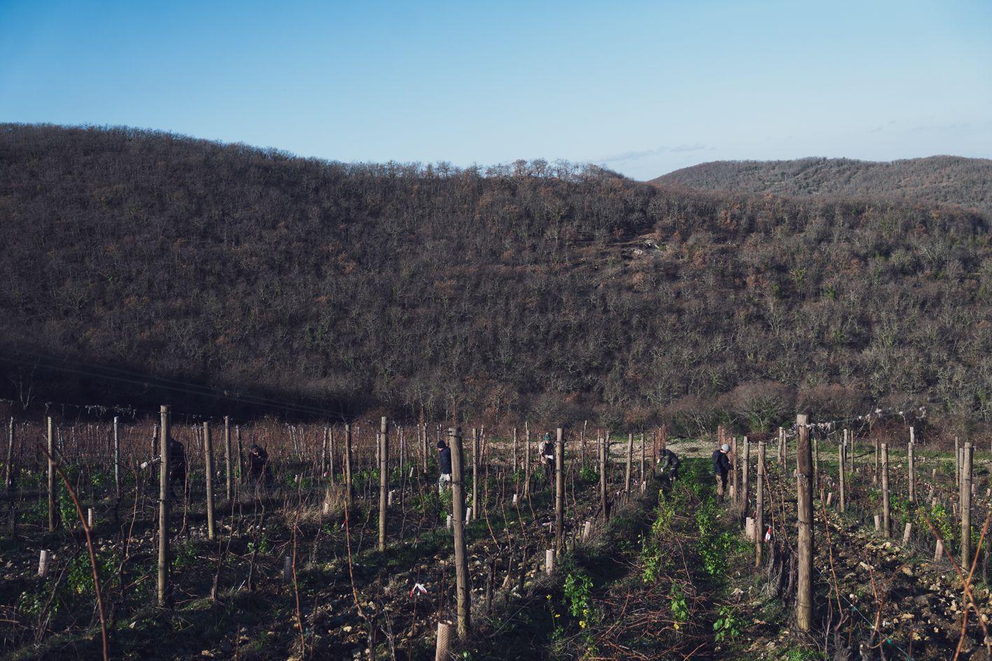Istine, il lato moderno del Chianti Classico. Letizia Porcini